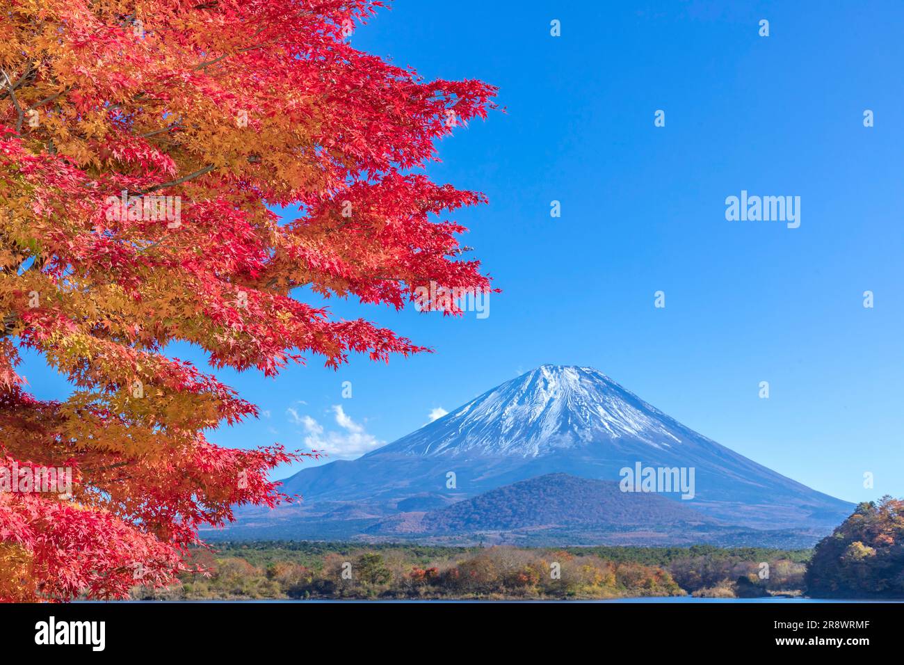 Autumn Color e Mt. Foto Stock