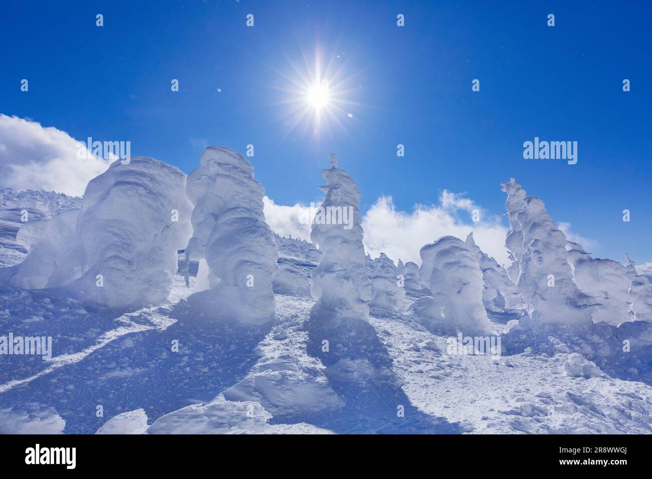 Juhyō in Zaō Foto Stock