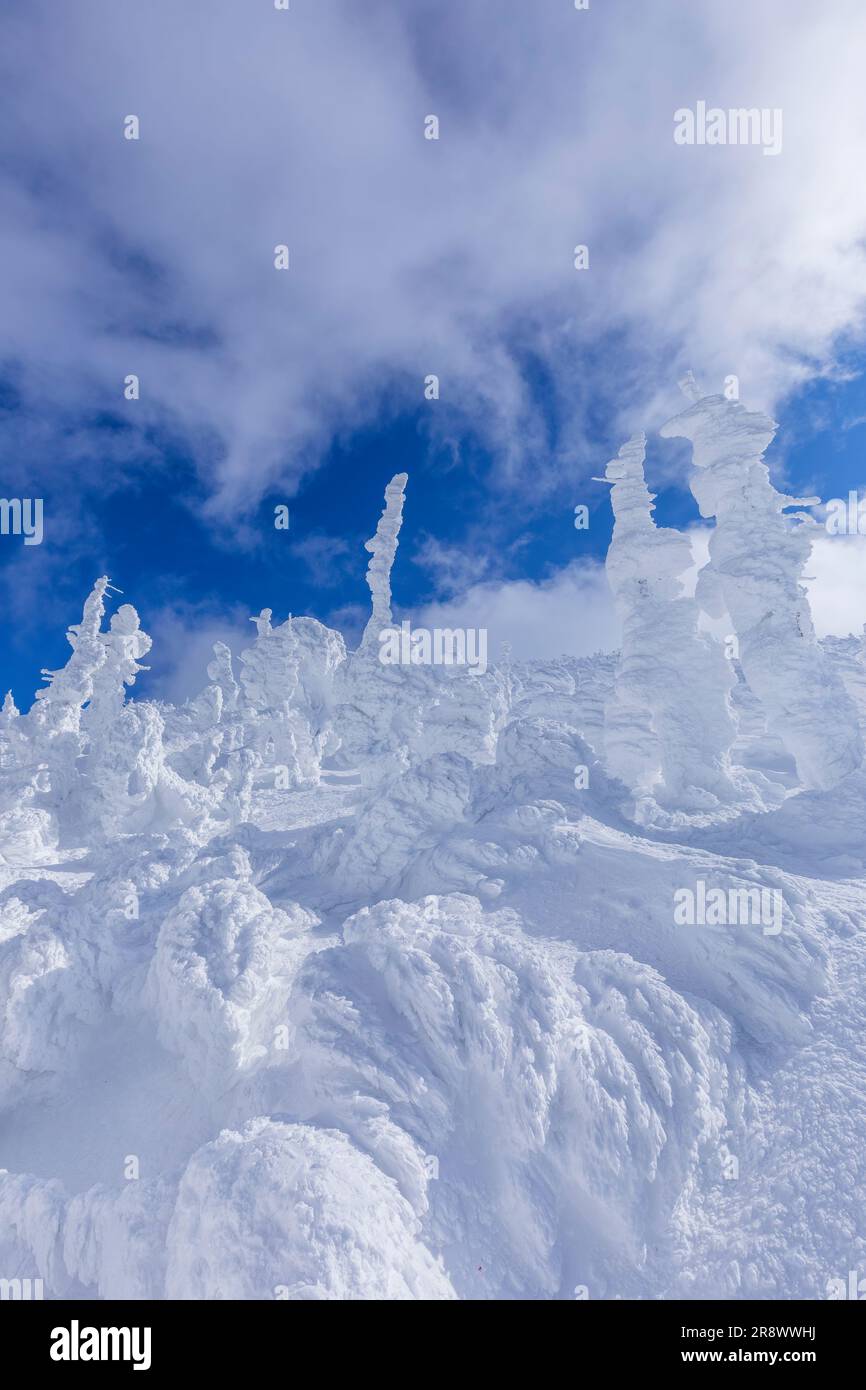 Juhyō in Zaō Foto Stock