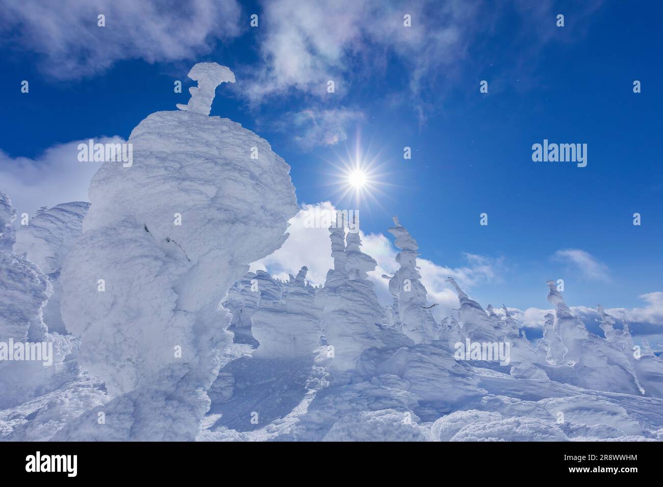 Juhyō in Zaō Foto Stock