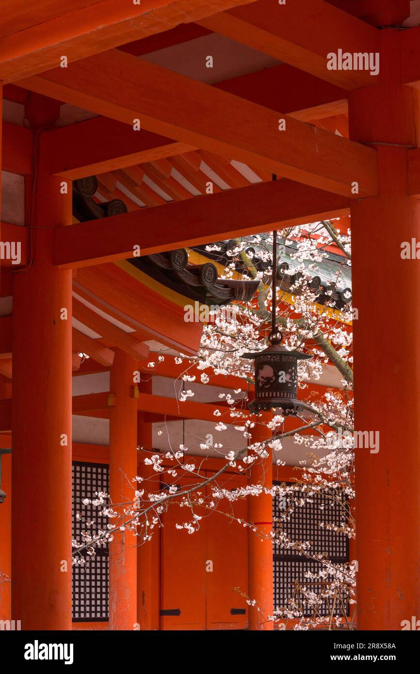 Santuario di Heian Foto Stock