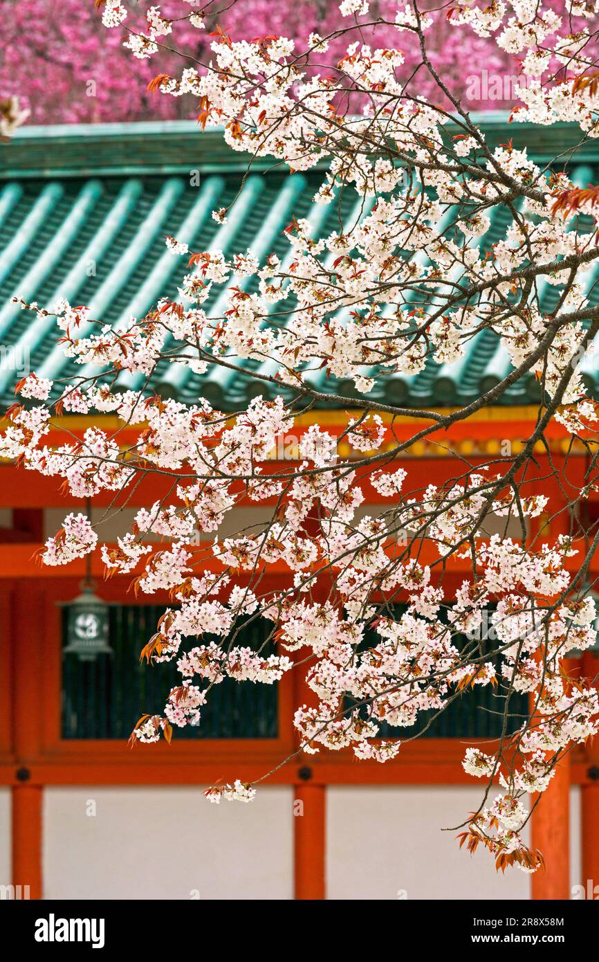 Santuario di Heian Foto Stock