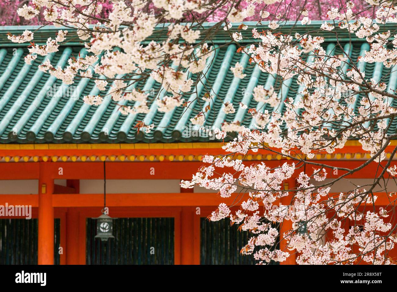 Santuario di Heian Foto Stock