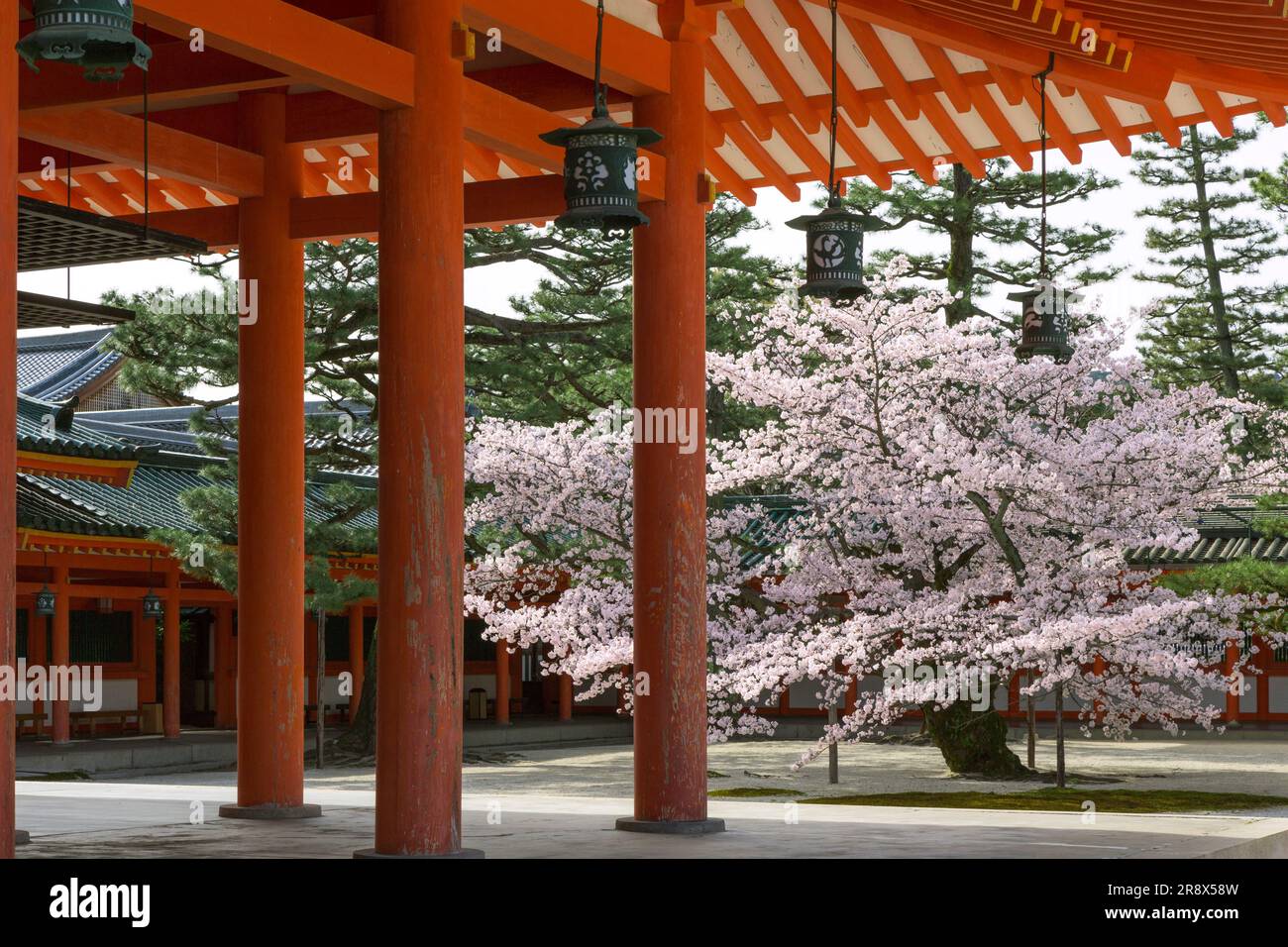 Santuario di Heian Foto Stock