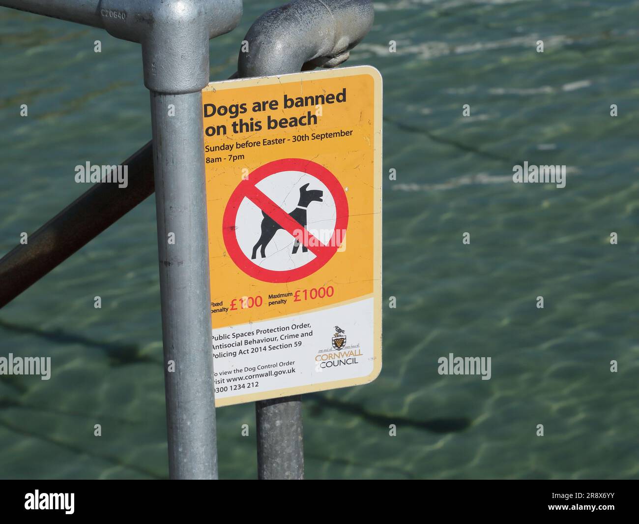 Un cartello che diceva i cani sono vietati da questa spiaggia eretto da St. Ives Consiglio Comunale, St. Ives, Cornwall, Regno Unito Foto Stock