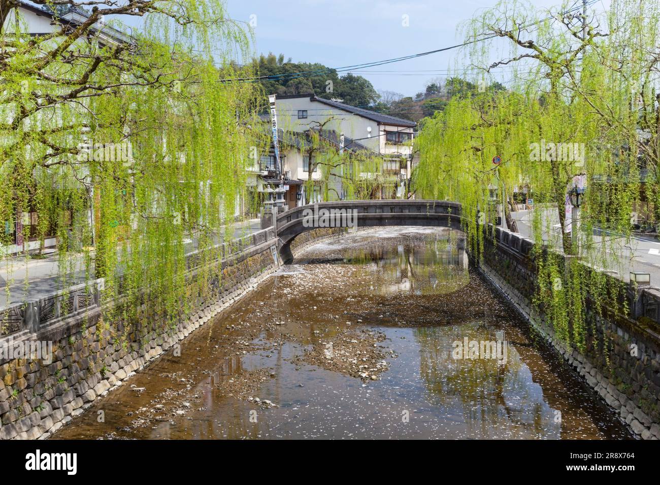 Verde fresco di salice e sorgente termale di Kinosaki Foto Stock