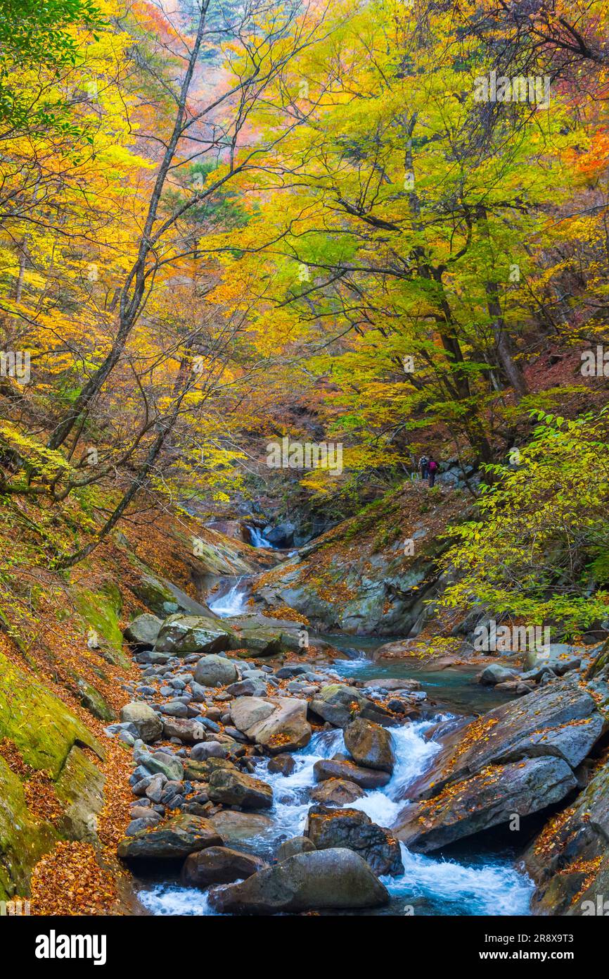Valle di Nishizawa in autunno Foto Stock