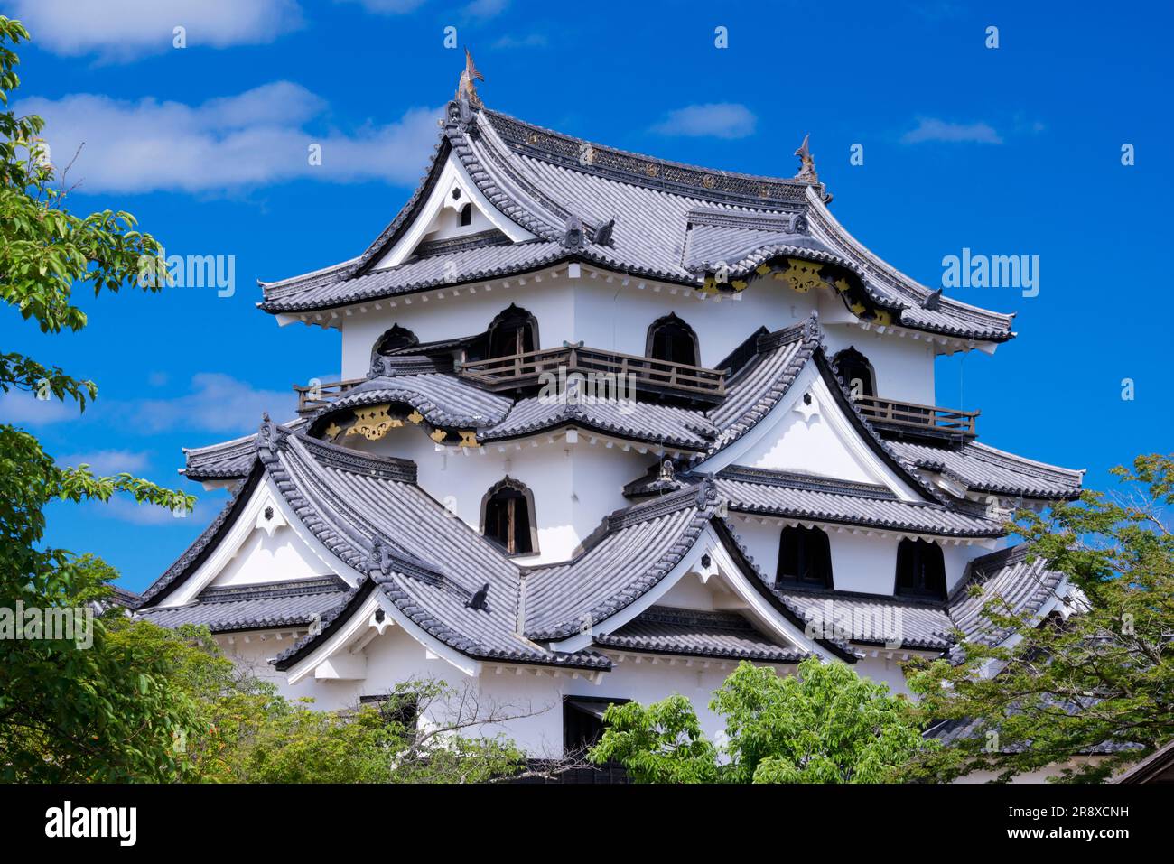 Castello di Hikone Foto Stock