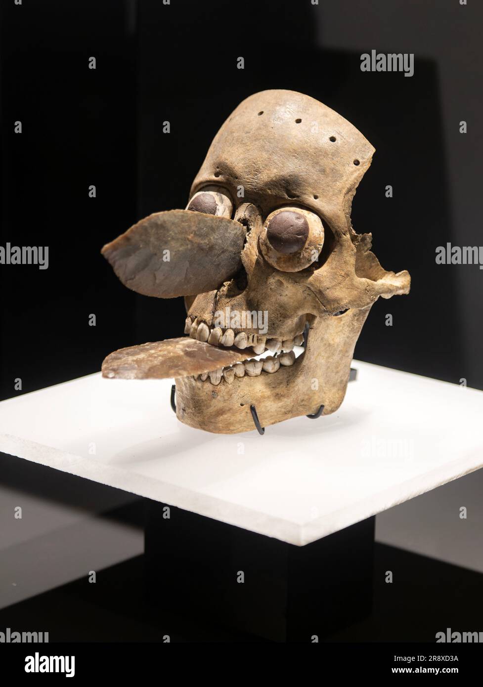 Maschera cranio umano, sito archeologico e museo di Templo Mayor, città del Messico, Messico Foto Stock