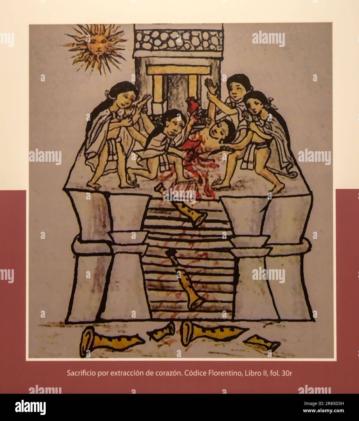 Immagine che mostra il sacrificio umano azteco, il sito archeologico e il museo di Templo Mayor, città del Messico, Messico Foto Stock