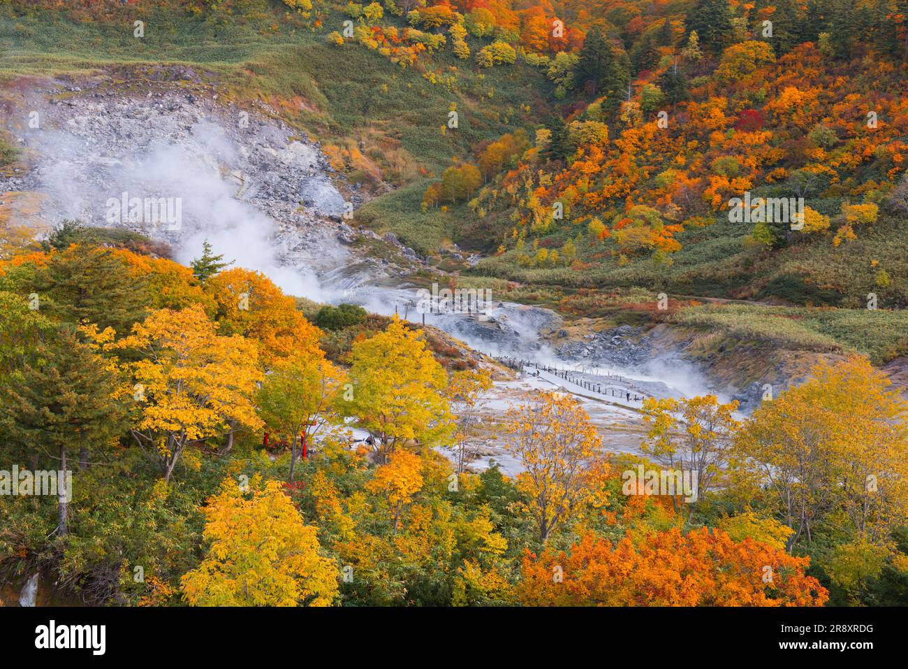 Tamagawa Onsen delle foglie d'autunno Foto Stock