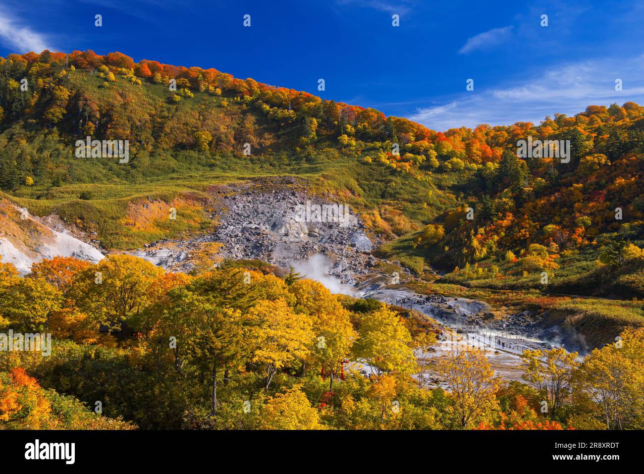 Tamagawa Onsen delle foglie d'autunno Foto Stock