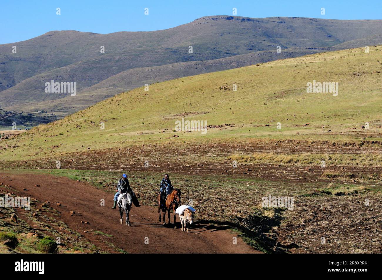 Popolo Basotho a cavallo vicino Semonkong, Lesotho, Sudafrica Foto Stock