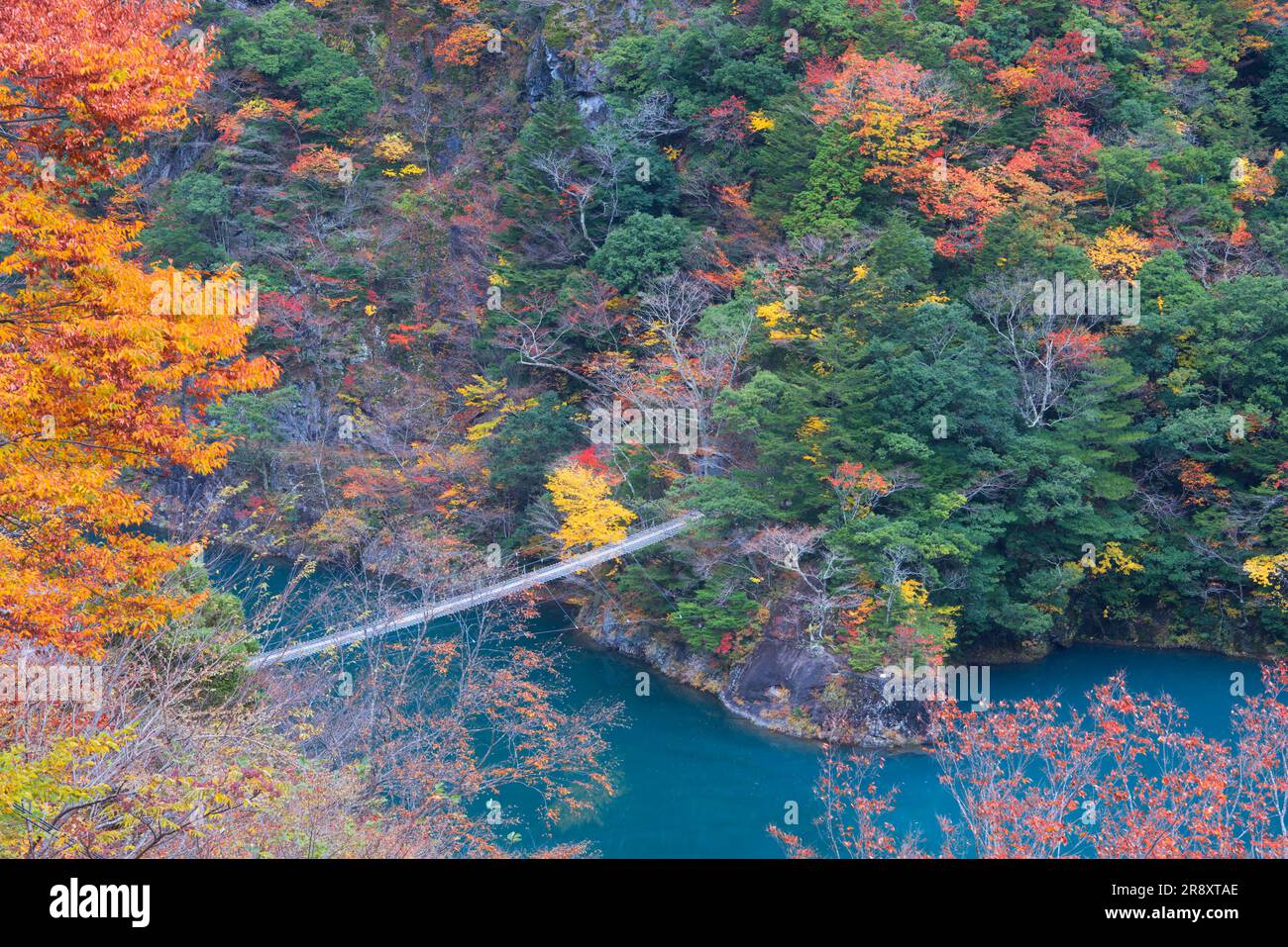 Sunmatakyo Gorge in foglie autunnali Foto Stock