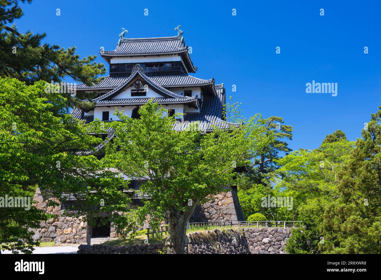 Matsue Castello Foto Stock