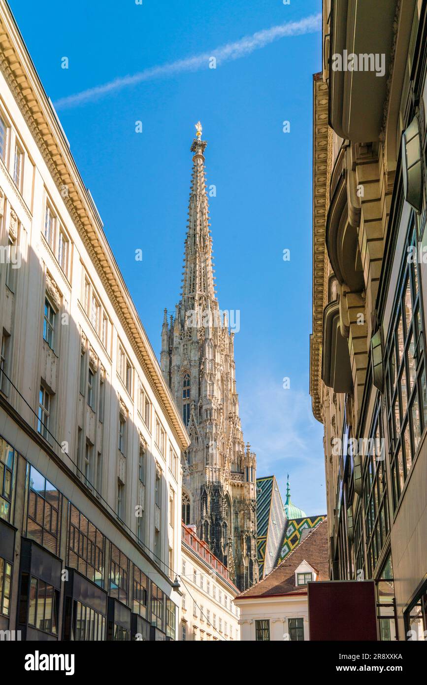 Cattedrale di Santo Stefano nella città vecchia di Vienna, Vienna, Austria Foto Stock