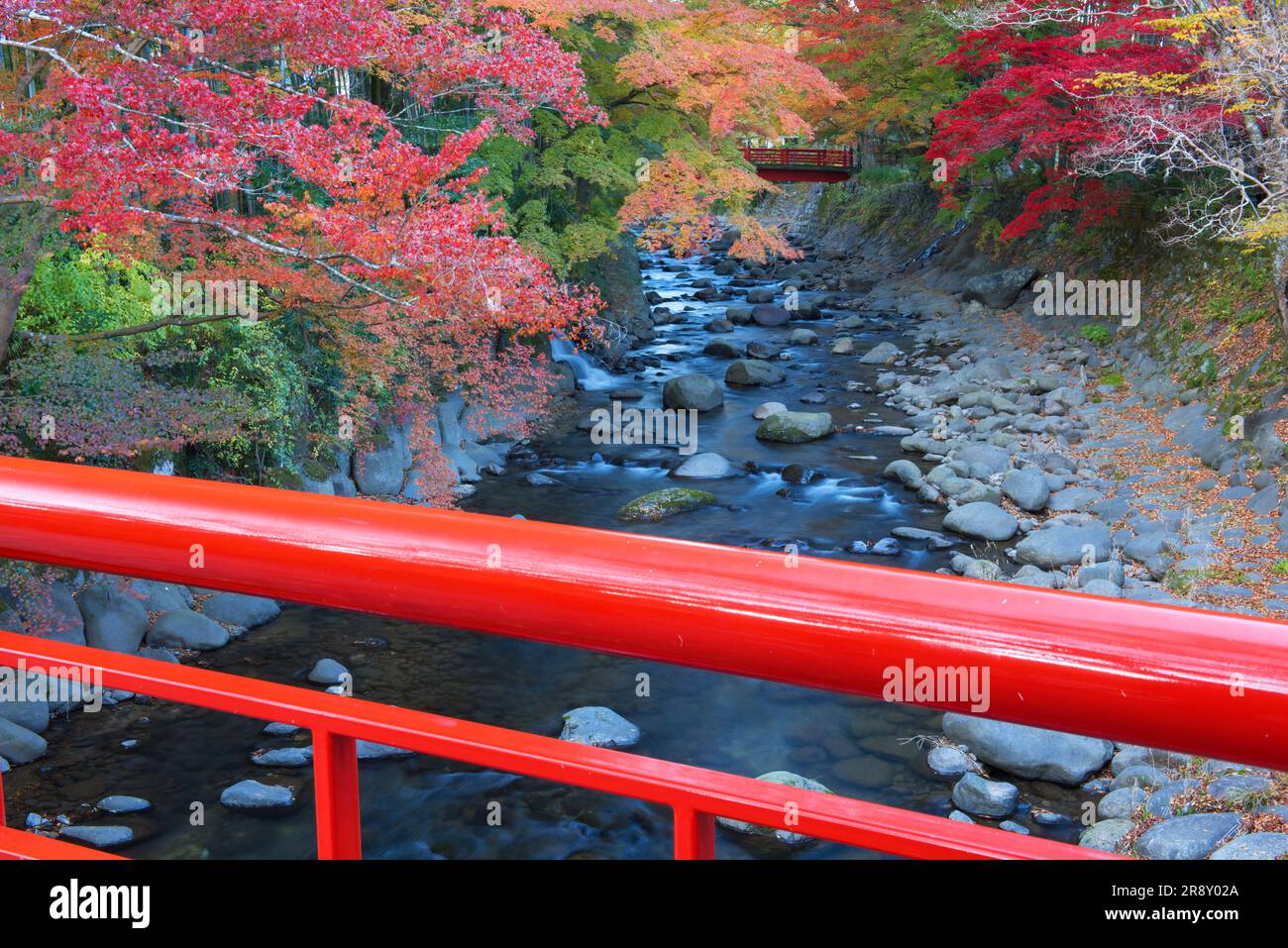 Shuzenji Onsen in foglie autunnali Foto Stock