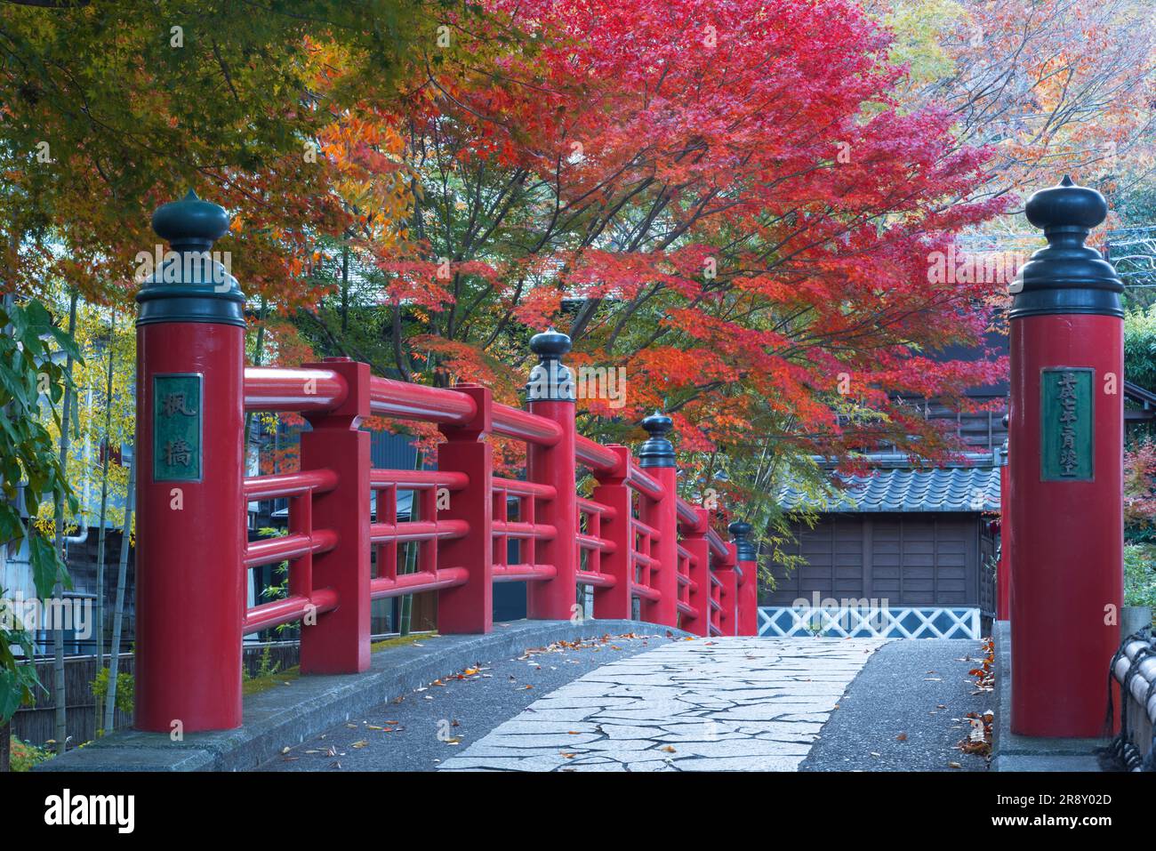 Shuzenji Onsen in foglie autunnali Foto Stock