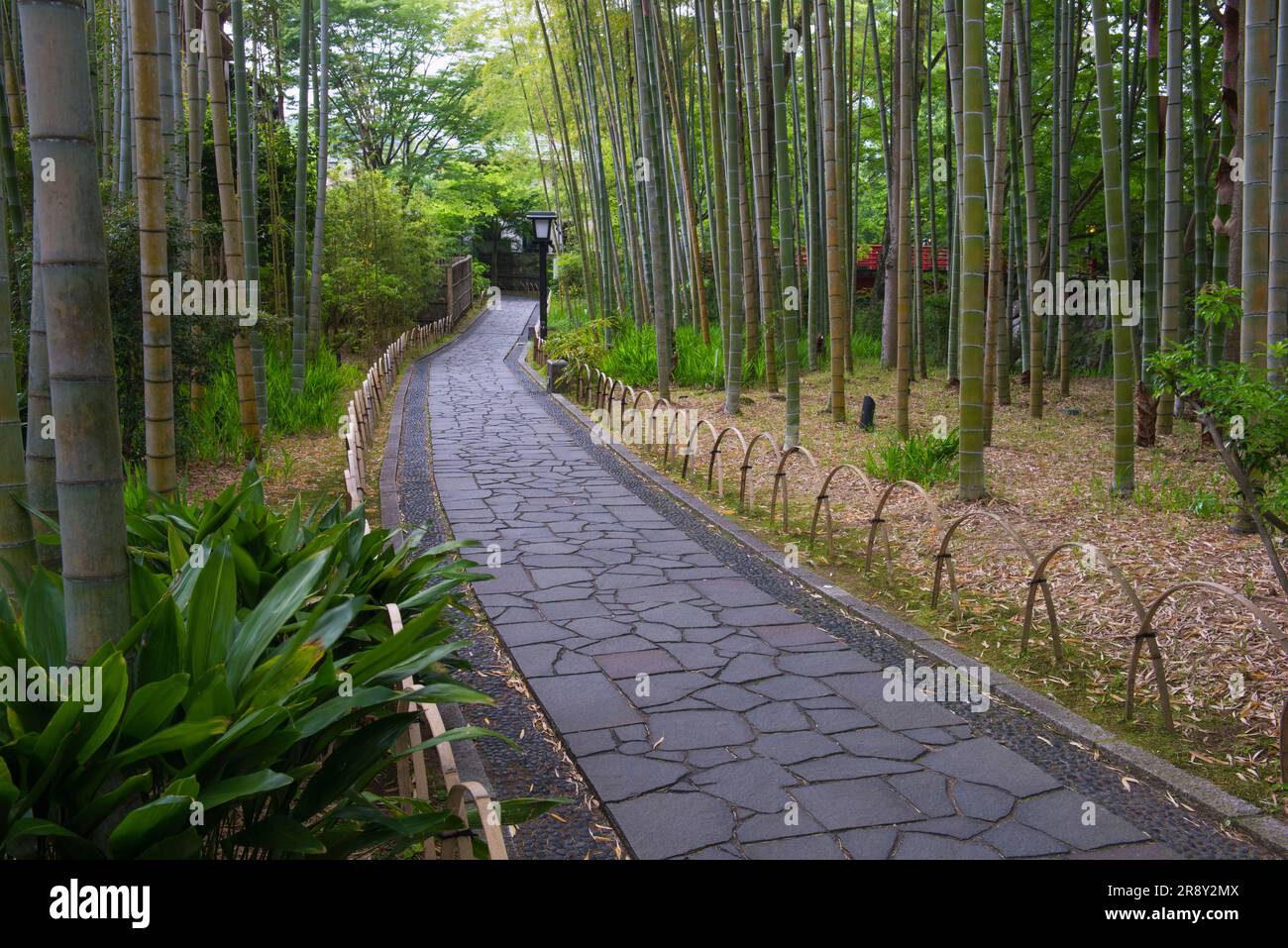 Sorgenti termali di Shuzenji Foto Stock