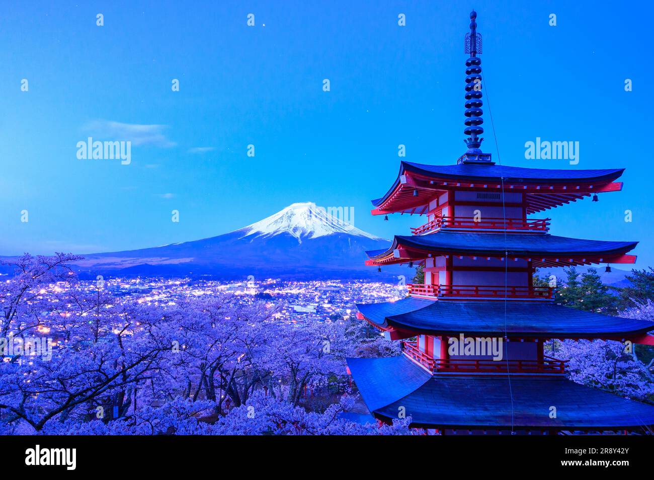 Fiori di ciliegio nel Parco Niikurayama Sengen e sul Monte Foto Stock