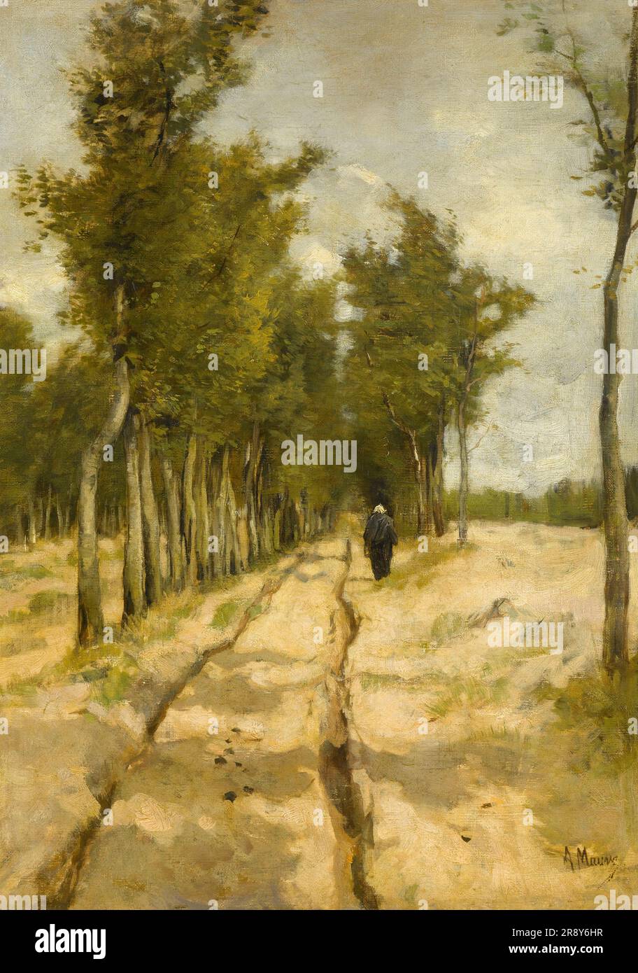 Il Torenlaan a Laren, 1886. Viale degli alberi in Olanda. Foto Stock