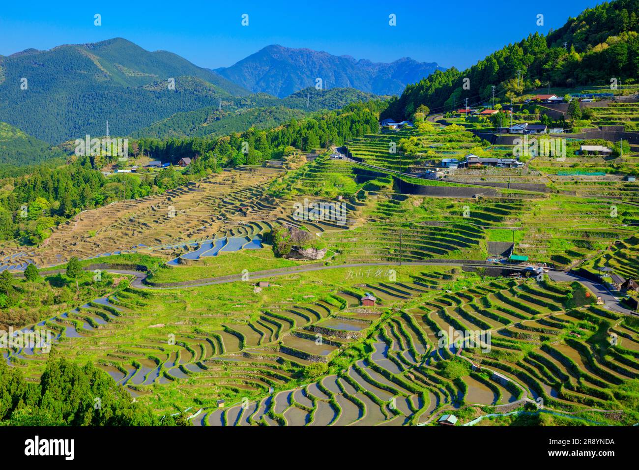 Maruyama Senmaida Foto Stock