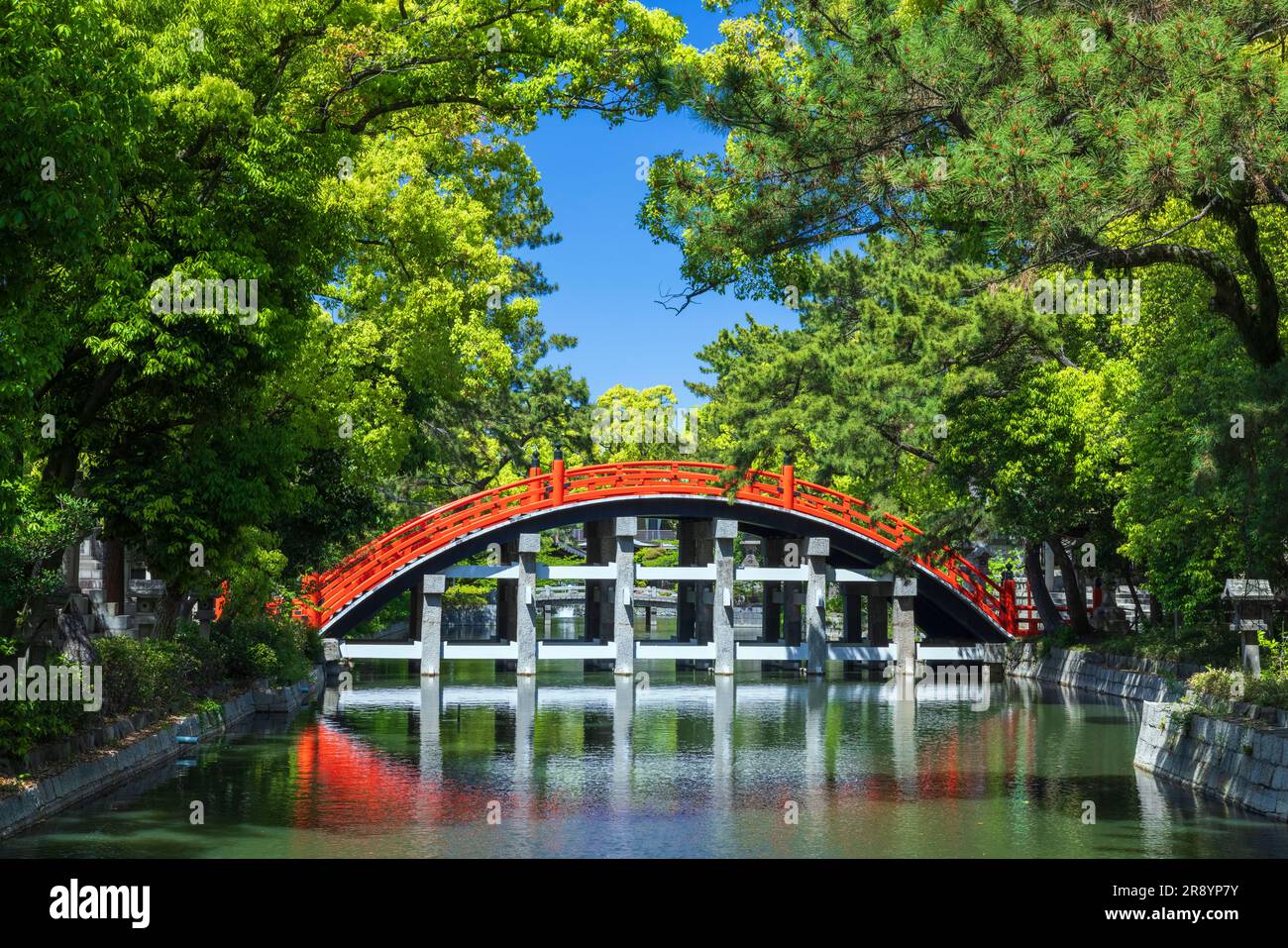 Sumiyoshi Taisha Shrine Anti-Bridge nel verde fresco Foto Stock