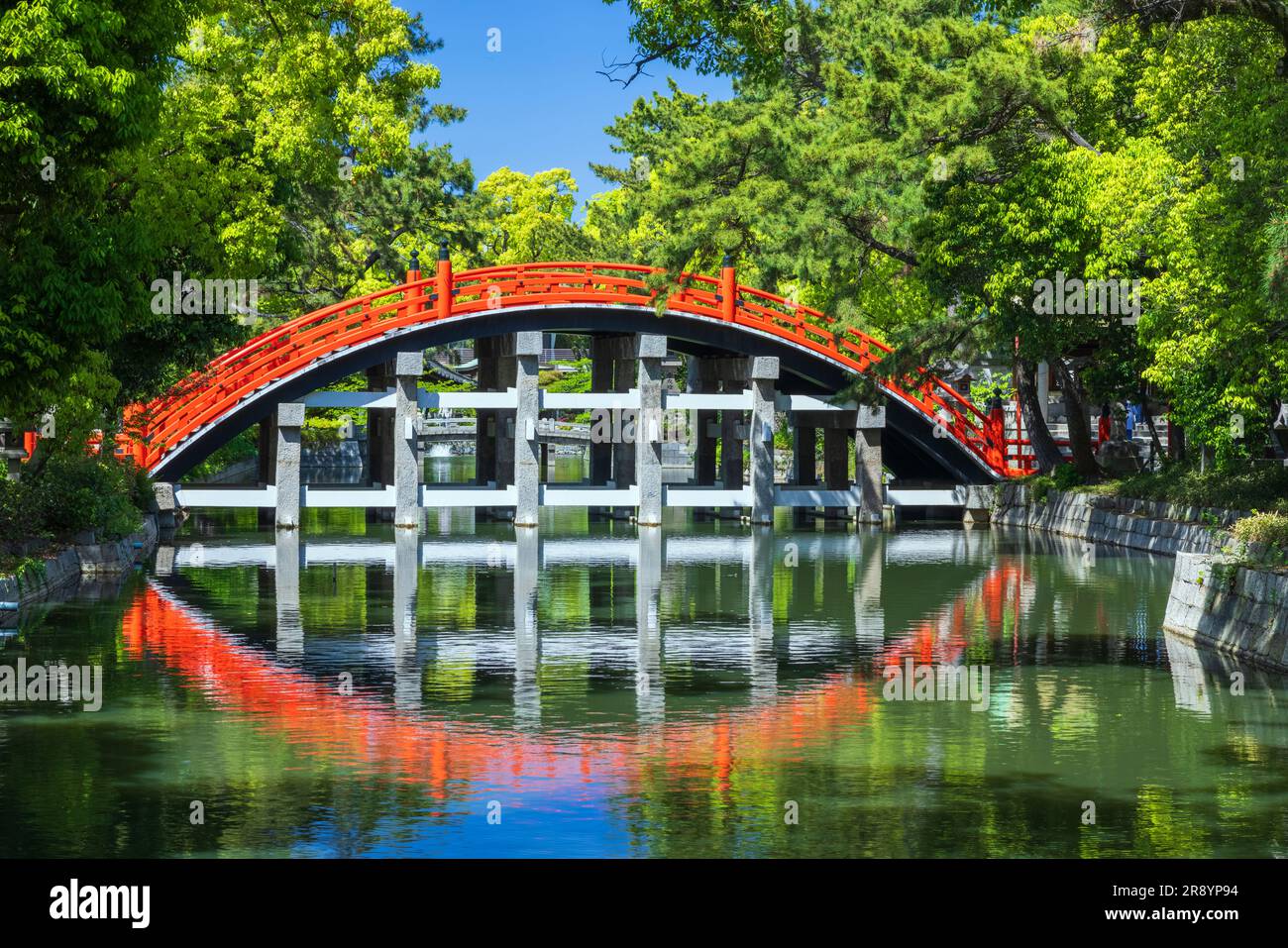 Sumiyoshi Taisha Shrine Anti-Bridge nel verde fresco Foto Stock