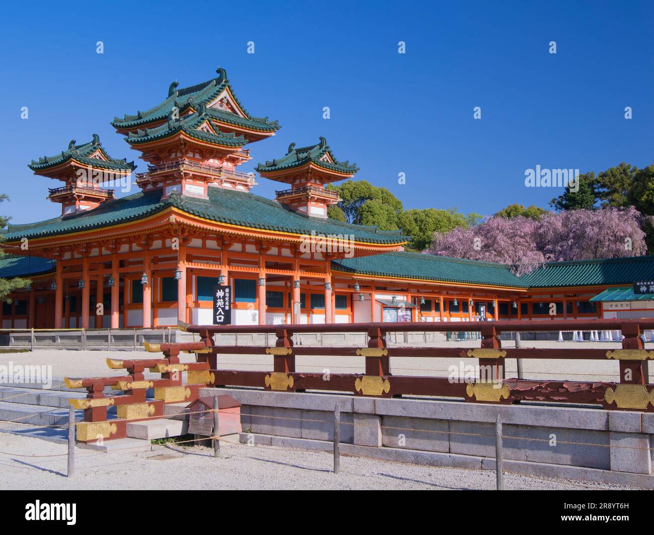 Ciliegi piangenti al santuario Heian jingu Foto Stock