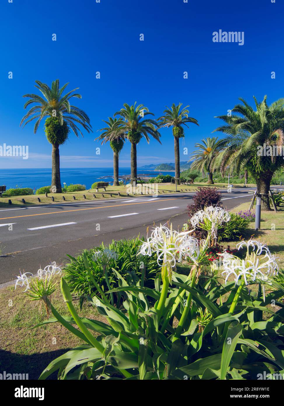 Horikiritouge con fiori di crinum e National Highway No. 220 Foto Stock