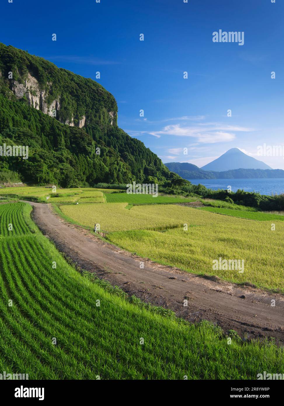 Terrazze di riso di Shinnadayoshi, Lago Ikeda e Monte Kaimondake Satsumafuji Foto Stock