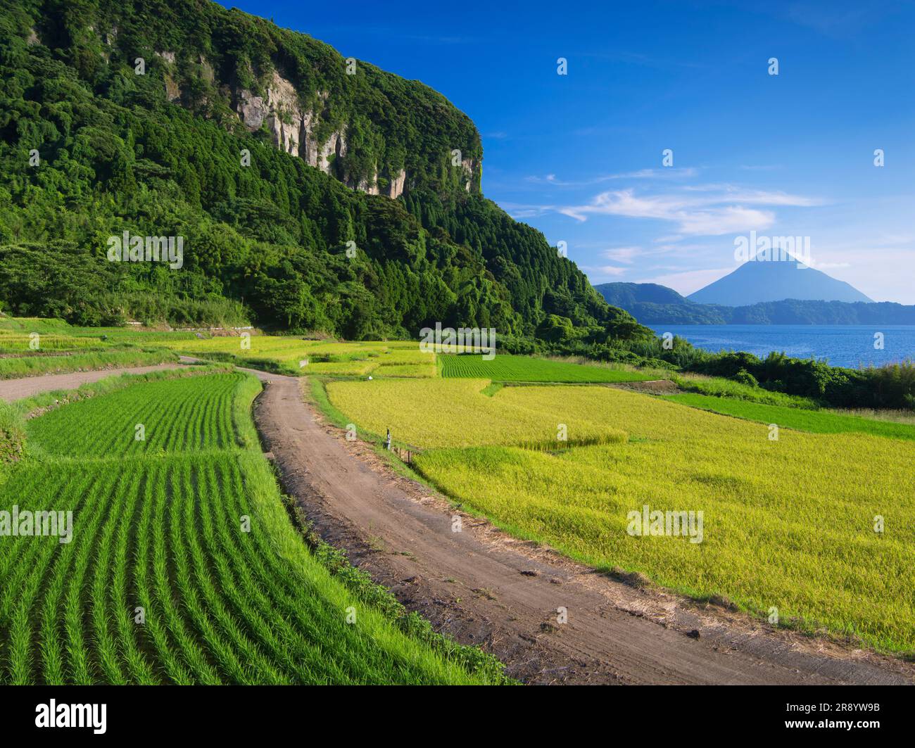 Terrazze di riso di Shinnadayoshi, Lago Ikeda e Monte Kaimondake Satsumafuji Foto Stock
