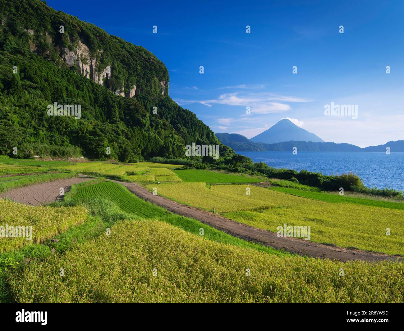 Terrazze di riso di Shinnadayoshi, Lago Ikeda e Monte Kaimondake Satsumafuji Foto Stock