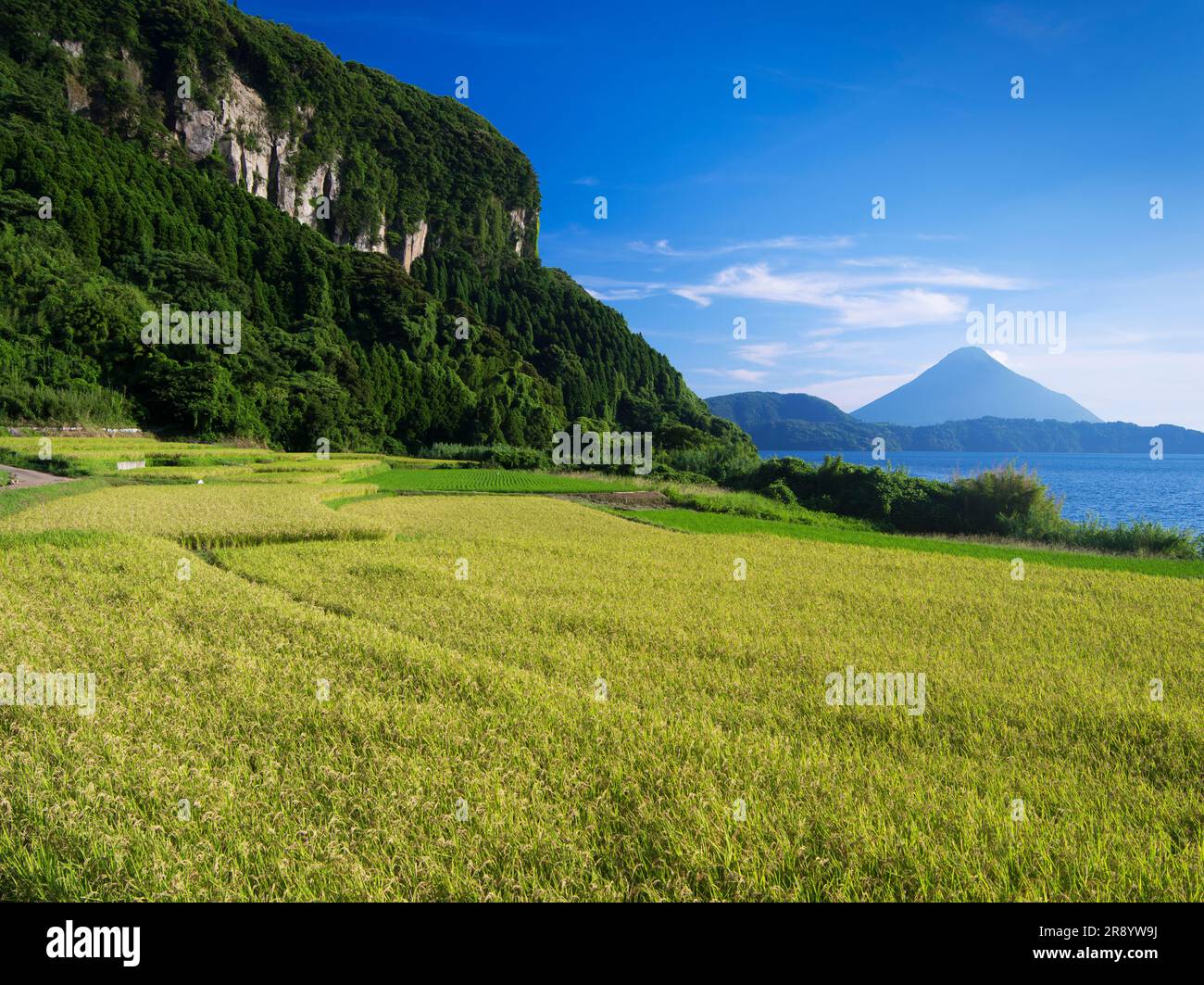 Terrazze di riso di Shinnadayoshi, Lago Ikeda e Monte Kaimondake Satsumafuji Foto Stock