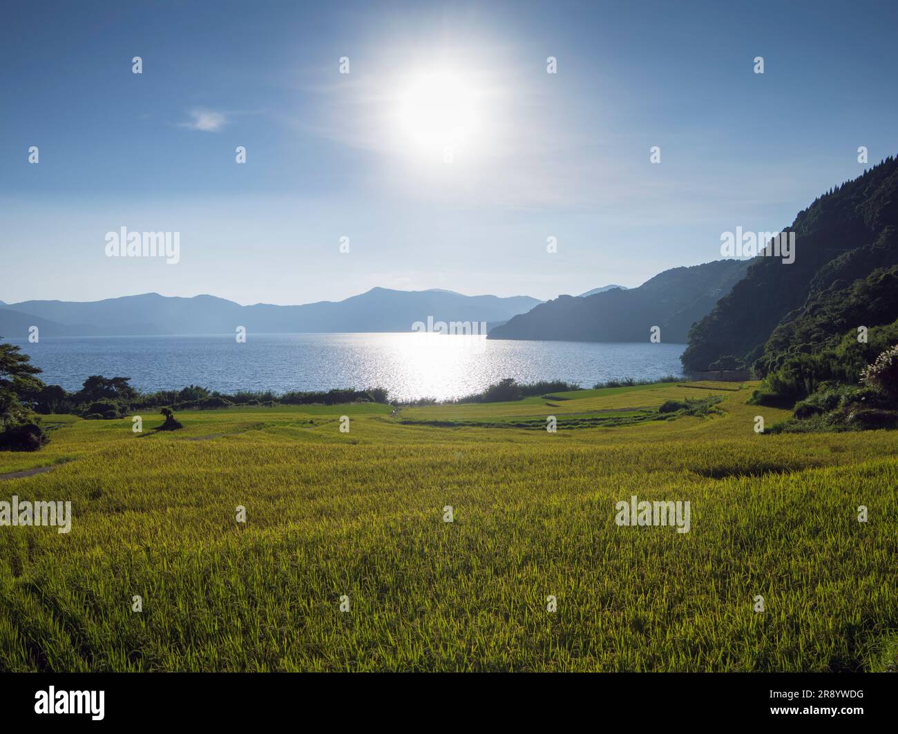 Terrazze di riso di Shinnadayoshi e Lago Ikeda Foto Stock