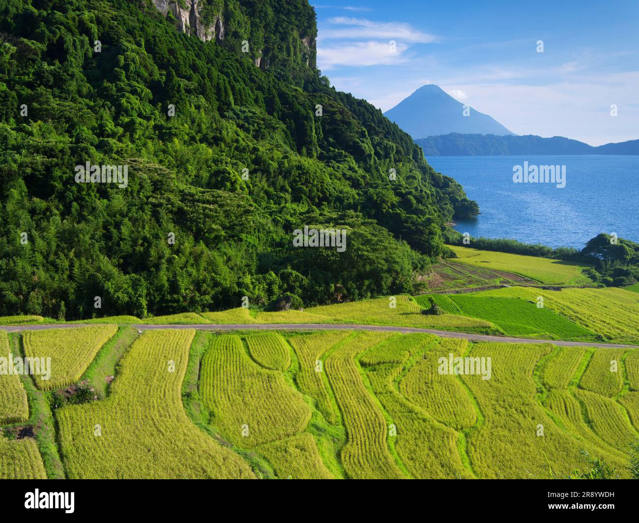 Terrazze di riso di Shinnadayoshi, Lago Ikeda e Monte Kaimondake Satsumafuji Foto Stock