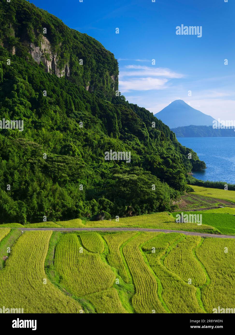 Terrazze di riso di Shinnadayoshi, Lago Ikeda e Monte Kaimondake Satsumafuji Foto Stock