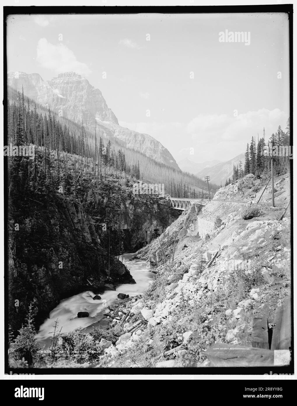 Wapta Canyon Above Field, British Columbia, c1902. Foto Stock