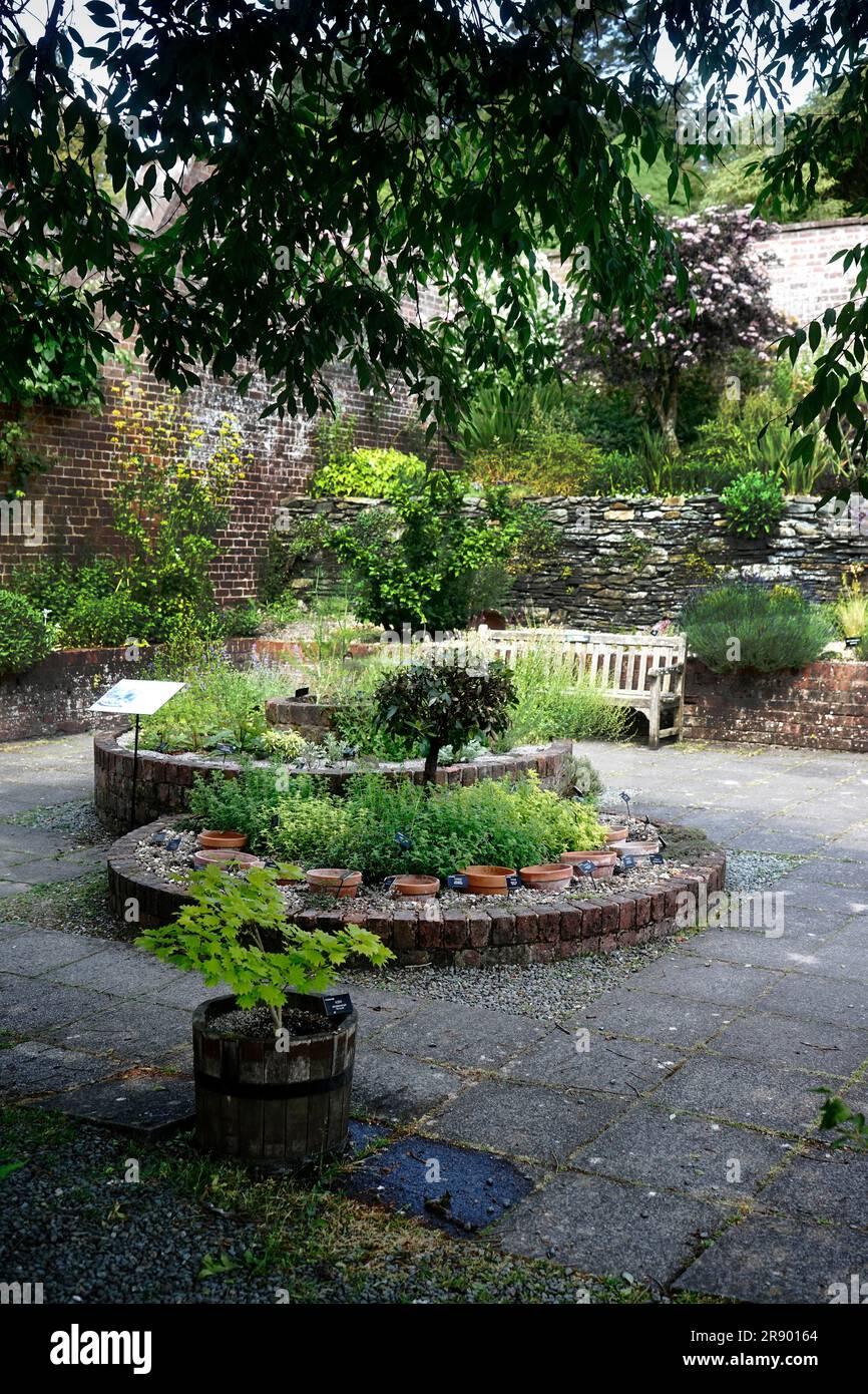 Holehird Gardens, Windermere, Lake District, Inghilterra Foto Stock