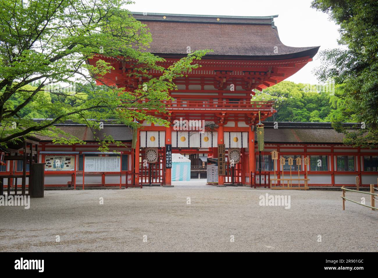 Santuario Shimogamo in verde fresco Foto Stock
