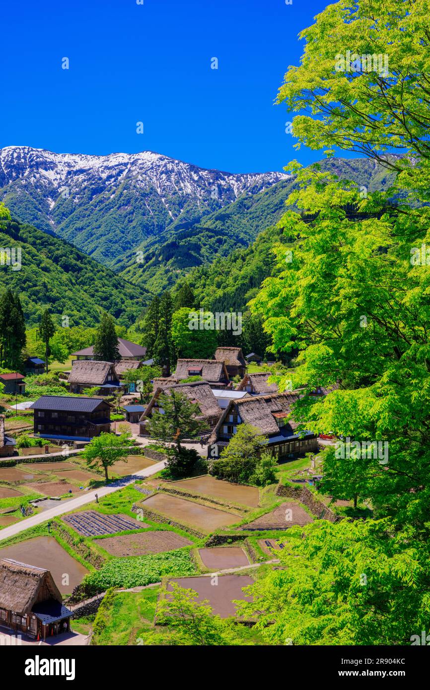 Aikura Gassho-zukuri Village nel verde fresco Foto Stock