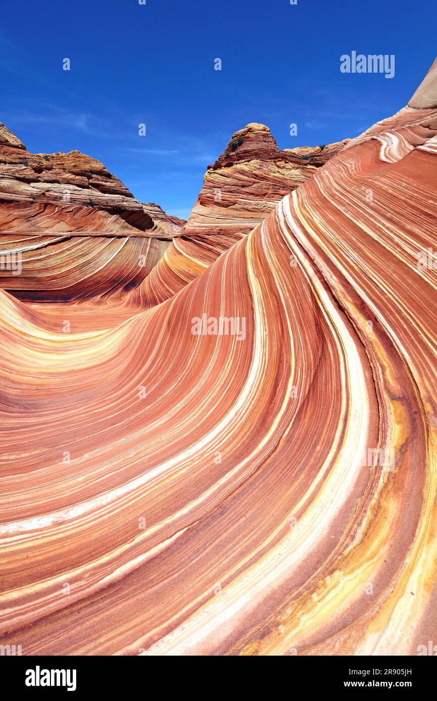 Die Welle, Coyote Butte North, Vermillion Cliffs Wilderness, Arizona, USA Foto Stock