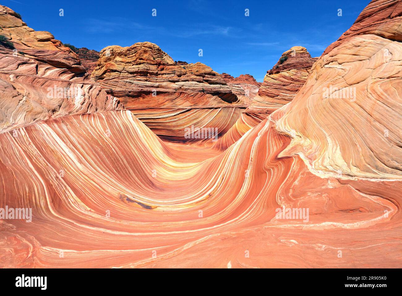 Die Welle, Coyote Butte North, Vermillion Cliffs Wilderness, Arizona, USA Foto Stock