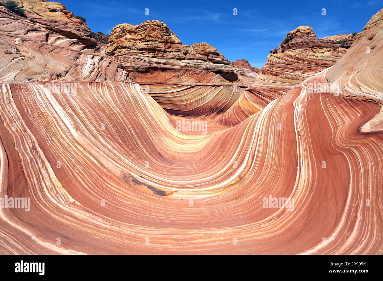 Die Welle, Coyote Butte North, Vermillion Cliffs Wilderness, Arizona, USA Foto Stock