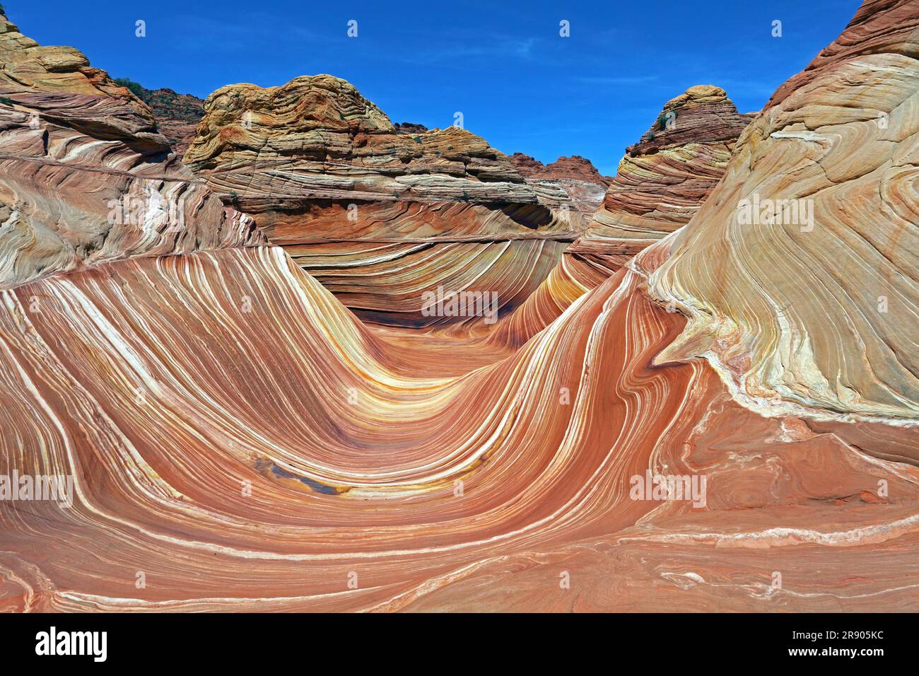 Die Welle, Coyote Butte North, Vermillion Cliffs Wilderness, Arizona, USA Foto Stock