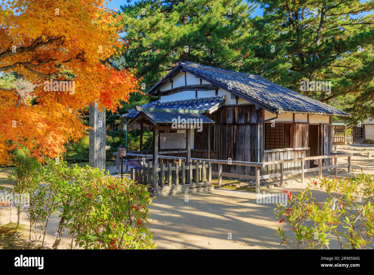 Autumn Color e Matsushita-murajuku Foto Stock
