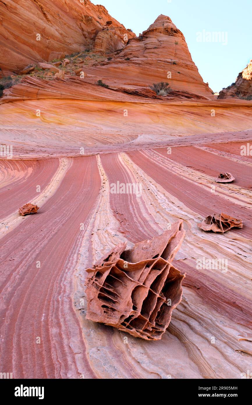 Boneyard (Boxwork), Coyote Butte North, Vermillion Cliffs Wilderness, Arizona, USA Foto Stock