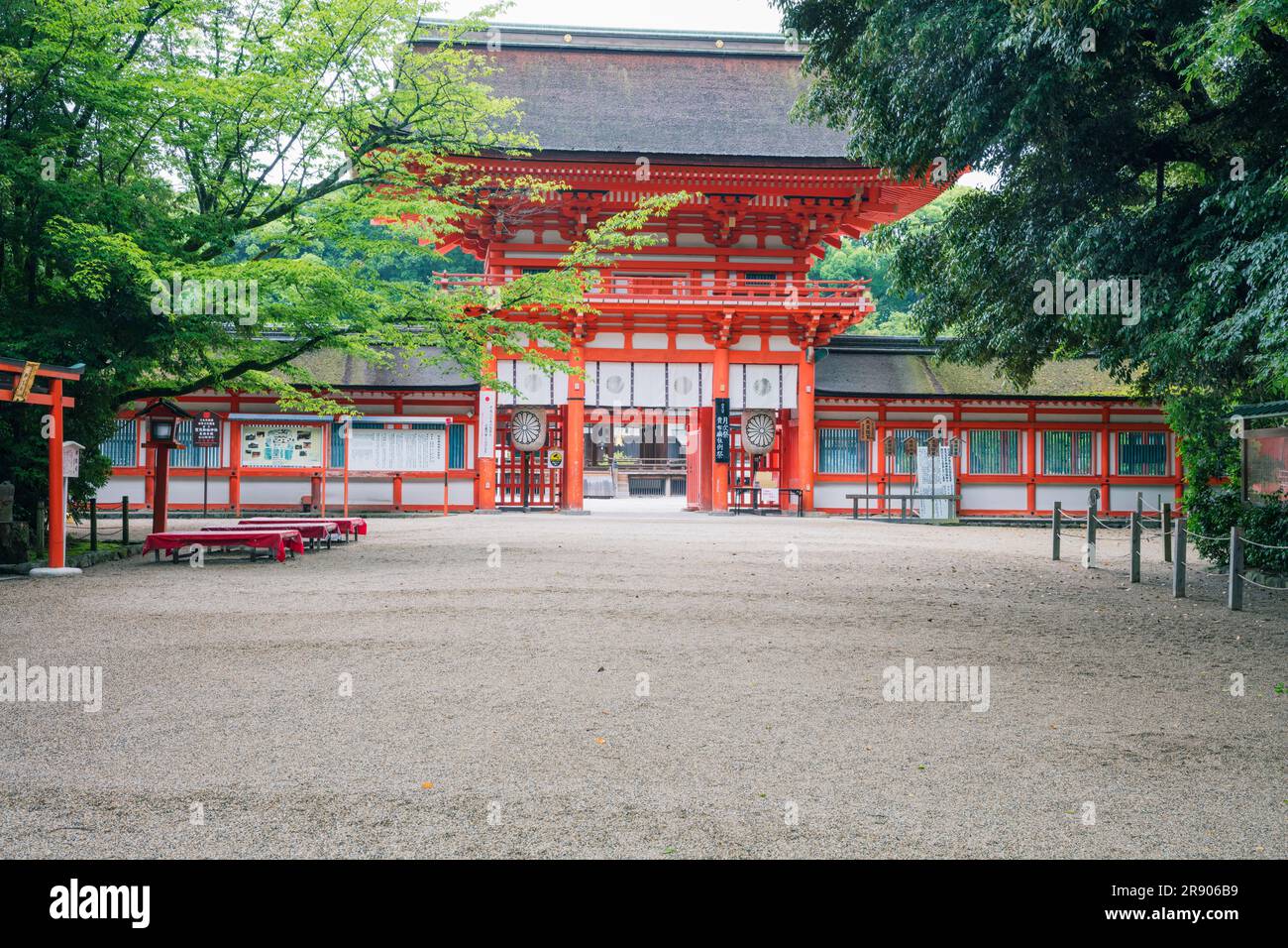 Santuario Shimogamo in verde fresco Foto Stock