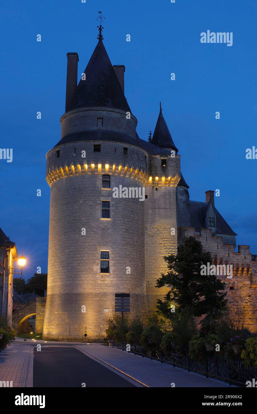 Chateau de Langeais, Langeais, Pays de la Loire, Indre-et-Loire, Centre, Francia Foto Stock