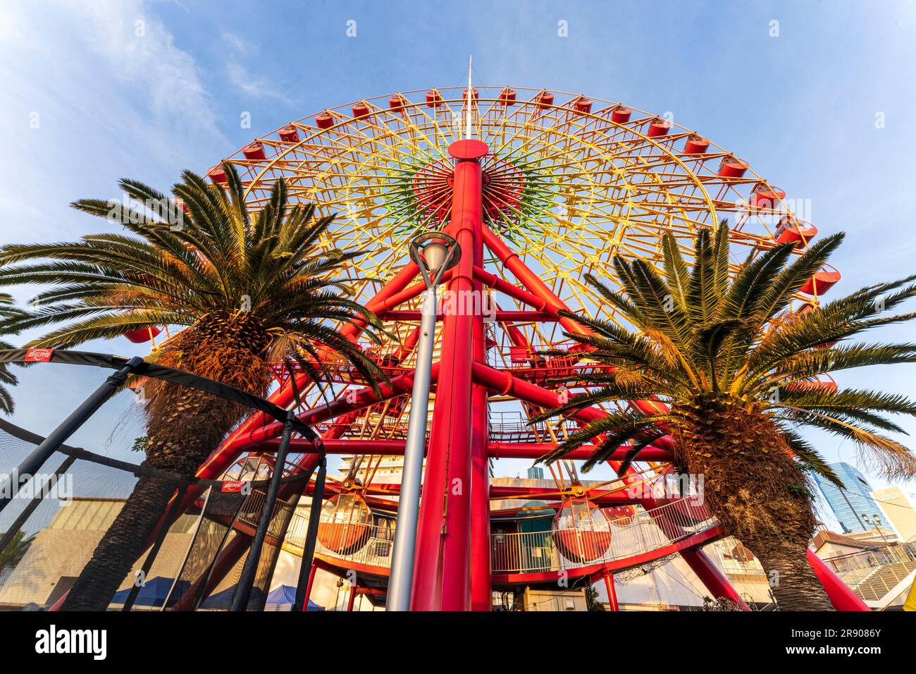 Vista dal basso angolo della mattina presto guardando la ruota dei grandi traghetti Mosaic sull'area Harborland del lungomare di Kobe. Due palme su entrambi i lati. Foto Stock